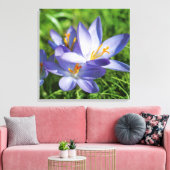 Krokus Leinwanddruck (Insitu (Wohnzimmer))