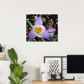 Krokus, Poster (Heimbüro)