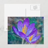 Krokus Postkarte (Vorne/Hinten)