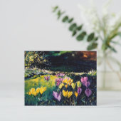 Krokus Postkarte (Stehend Vorderseite)