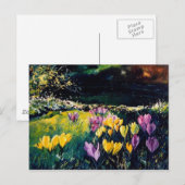Krokus Postkarte (Vorne/Hinten)