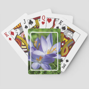 Krokus Spielkarten