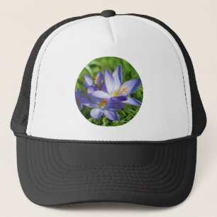 Krokus Truckerkappe