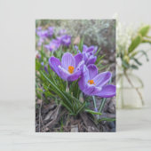 Krokusblumen Einladung (Stehend Vorderseite)