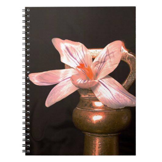 Krokusblumen Notizblock (Vorderseite)