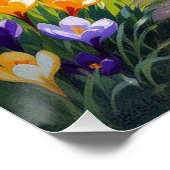 Krokusblüte Poster (Ecke)
