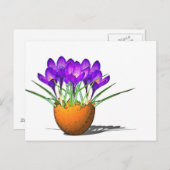 Krokusse Postkarte (Vorne/Hinten)