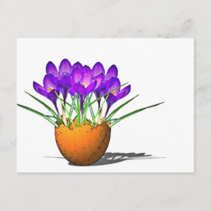 Krokusse Postkarte
