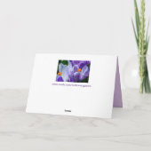 Krokygrün Karte (Rückseite)