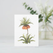 Krone Imperial (Fritillaria imperialis) von Redout Postkarte (Stehend Vorderseite)