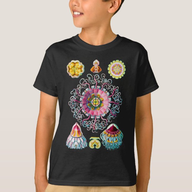 Krone oder Sturzhelm-Quallen T-Shirt (Vorderseite)