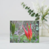 Krone Postkarte (Stehend Vorderseite)