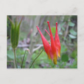 Krone Postkarte (Vorderseite)