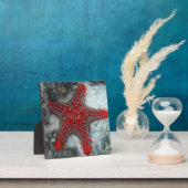 Krone von Thornstern auf dem Korallenriff Fotoplatte (InSitu)