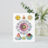 Kronen- oder Helmquälchen Postkarte (Stehend Vorderseite)