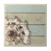 Kronen-Tritonshorn Fliese (Vorderseite)