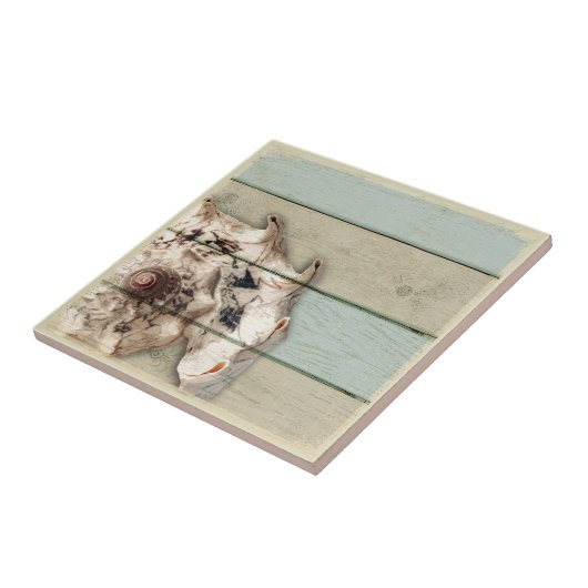 Kronen-Tritonshorn Fliese (Seite)