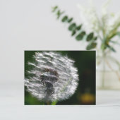 Kronenbesatz - Postkarte (Stehend Vorderseite)