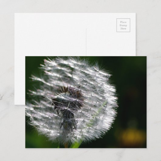 Kronenbesatz - Postkarte (Vorne/Hinten)