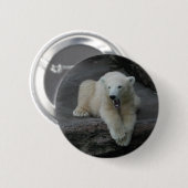 Krönend Polar Bärenkuppe Button (Vorne & Hinten)
