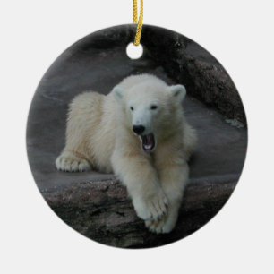 Krönend Polar Bärenkuppe Keramikornament