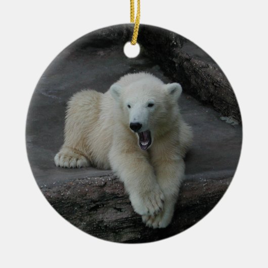 Krönend Polar Bärenkuppe Keramikornament (Vorne)