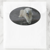 Krönend Polar Bärenkuppe Ovaler Aufkleber (Tasche)