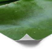 Kronenfroschprinz auf Lily Pad Poster (Ecke)