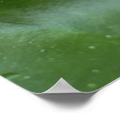 Kronenfroschprinz auf Lily Pad Poster (Ecke)