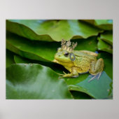 Kronenfroschprinz auf Lily Pad Poster (Vorne)
