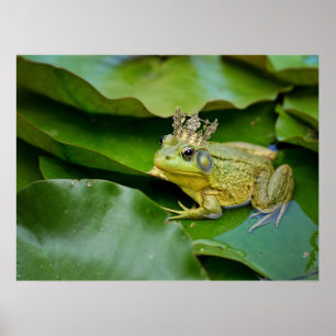 Kronenfroschprinz auf Lily Pad Poster