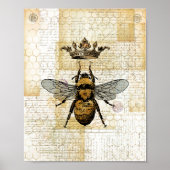 Kronenkollage Poster (Vorne)