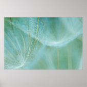 Kronenmakro Poster (Vorne)