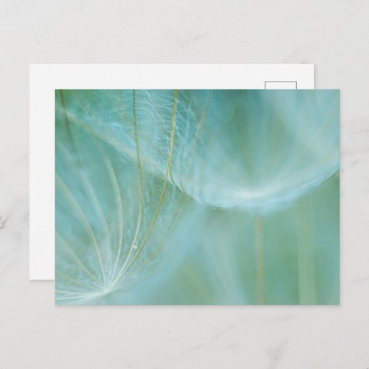 Kronenmakro Postkarte (Vorne/Hinten)