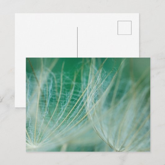 Kronenmakro Postkarte (Vorne/Hinten)