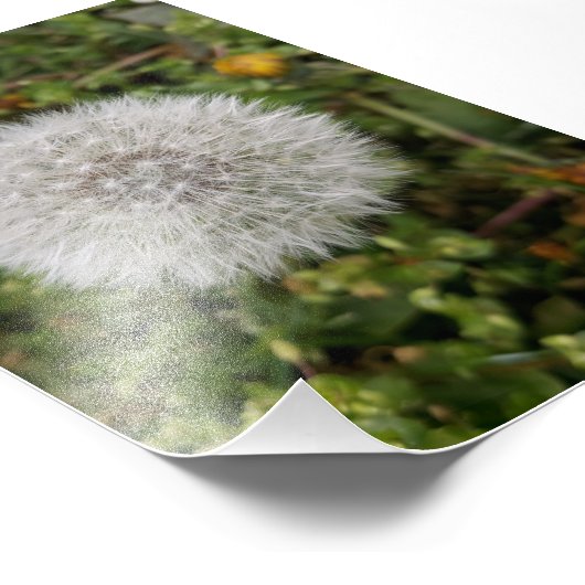 Kronenplakat Fotodruck (Ecke)