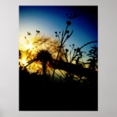 Kronenplakat Poster (Vorne)