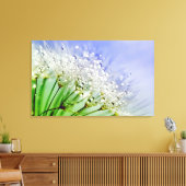 Kronensamen mit Taubentropfen Leinwanddruck (Insitu (Wohnzimmer))