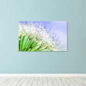 Kronensamen mit Taubentropfen Leinwanddruck (Insitu (Holzboden))