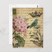 Kronenskript Hydrangea Vogel Französisch botanisch Postkarte (Vorne/Hinten)