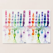 Kronenzellen Stammzellen und bipolare Neuronen der Folienkarte (Innenseite)