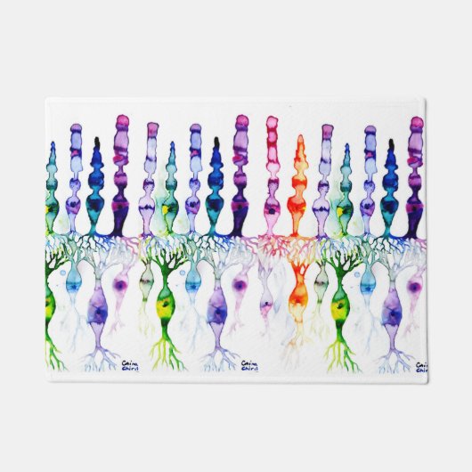 Kronenzellen Stammzellen und bipolares Netzhaut Fußmatte (Vorderseite)