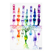 Kronenzellen Stammzellen und bipolares Netzhautneu Fotodruck (Vorne)