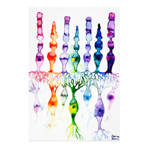 Kronenzellen Stammzellen und bipolares Netzhautneu Fotodruck