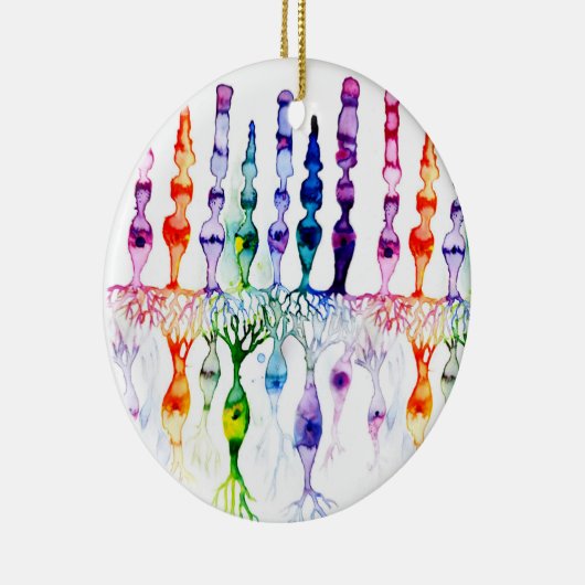 Kronenzellen Stammzellen und bipolares Netzhautneu Keramik Ornament (Rechts)