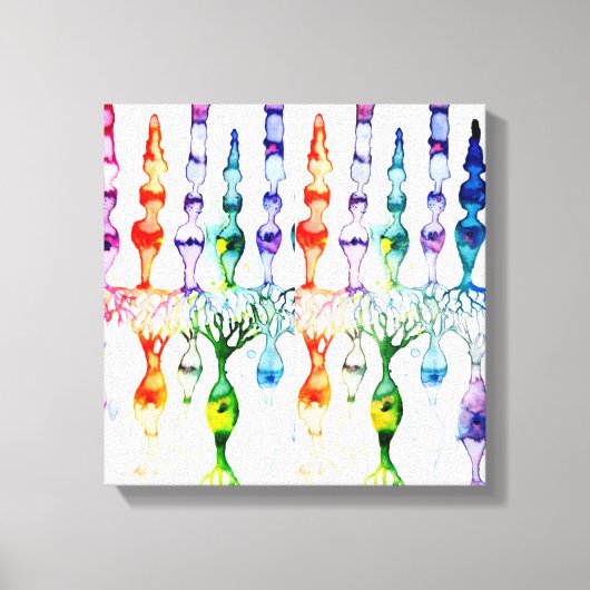 Kronenzellen Stammzellen und bipolares Netzhautneu Leinwanddruck (Vorderseite)