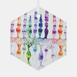 Kronenzellen Stammzellen und bipolares Netzhautneu Ornament Aus Glas