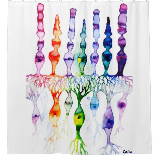 Kronenzellen Stammzellen und bipolares Neuron der  Duschvorhang (Vorderseite)