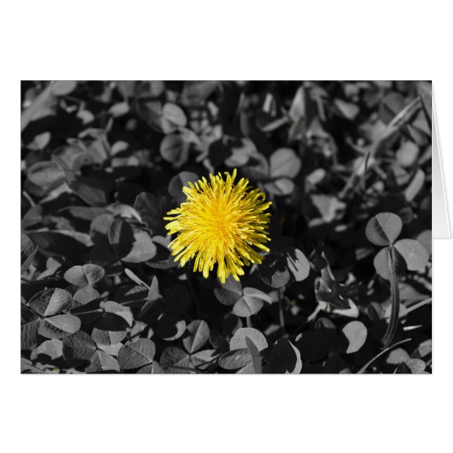 Kronleuchter (Vorderseite (Horizontal))