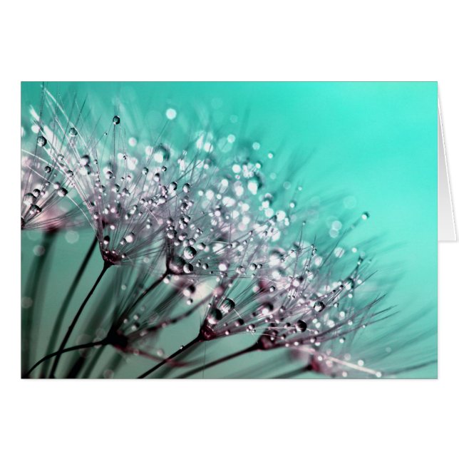 Kronleuchter (Vorderseite (Horizontal))